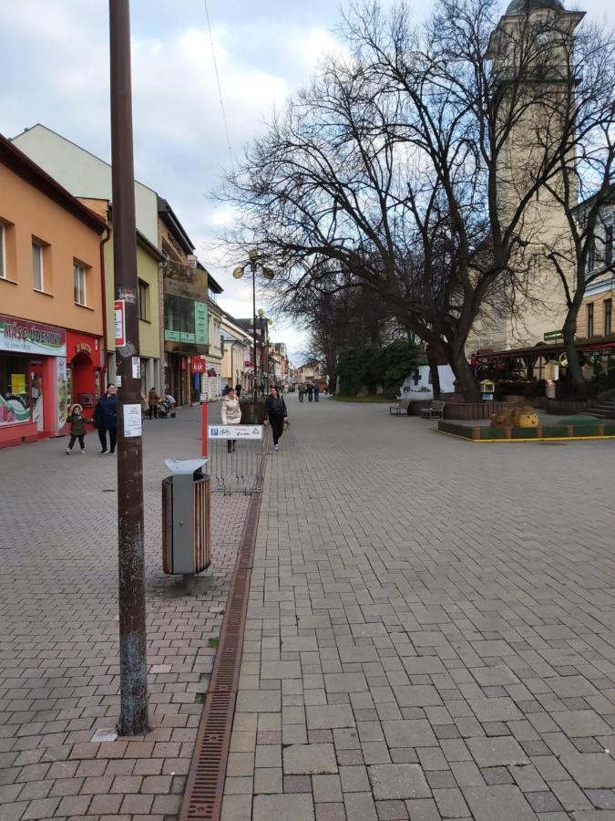 Renmir Poprád